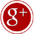 Google +